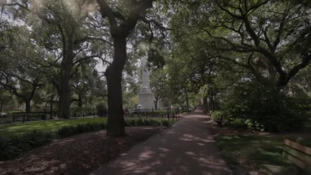 Casimir Pulaski Monument Savannah Georgia Usa Set 2016 — Video Stock