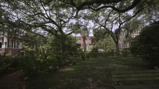 Quartiere Storico Savannah Con Querce Vive Ricoperte Muschio Spagnolo Georgia — Video Stock