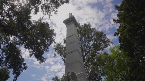 Das Kasimir Pulaski Denkmal Savanne Georgien Usa September 2016 — Stockvideo