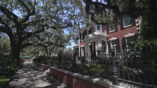 Historic District Savannah Live Oaks Covered Spanish Moss Georgia Usa — стоковое видео