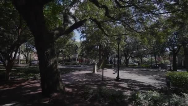 Sierżant William Jasper Pomnik Savannah Georgia Stany Zjednoczone Ameryki Wrzesień — Wideo stockowe