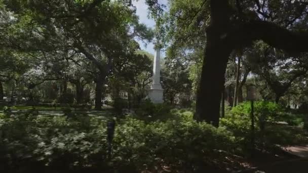 Zabytkowej Dzielnicy Savannah Dębina Pokryte Hiszpańskim Mchem Pomnik Kazimierza Pułaskiego — Wideo stockowe