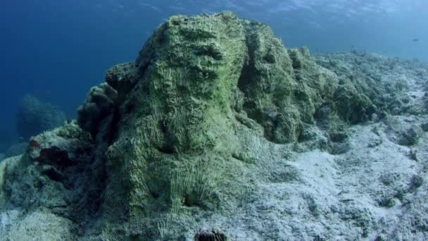 Śledzenia Strzał Nad Rafą Koralową Częściowo Zniszczone Spowodowane Przez Coral — Wideo stockowe