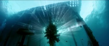 Sualtı çekim eski bir iskele, yumuşak mercanlar, siluet güneş ışınları, Raja Ampat, Endonezya ile büyümüş