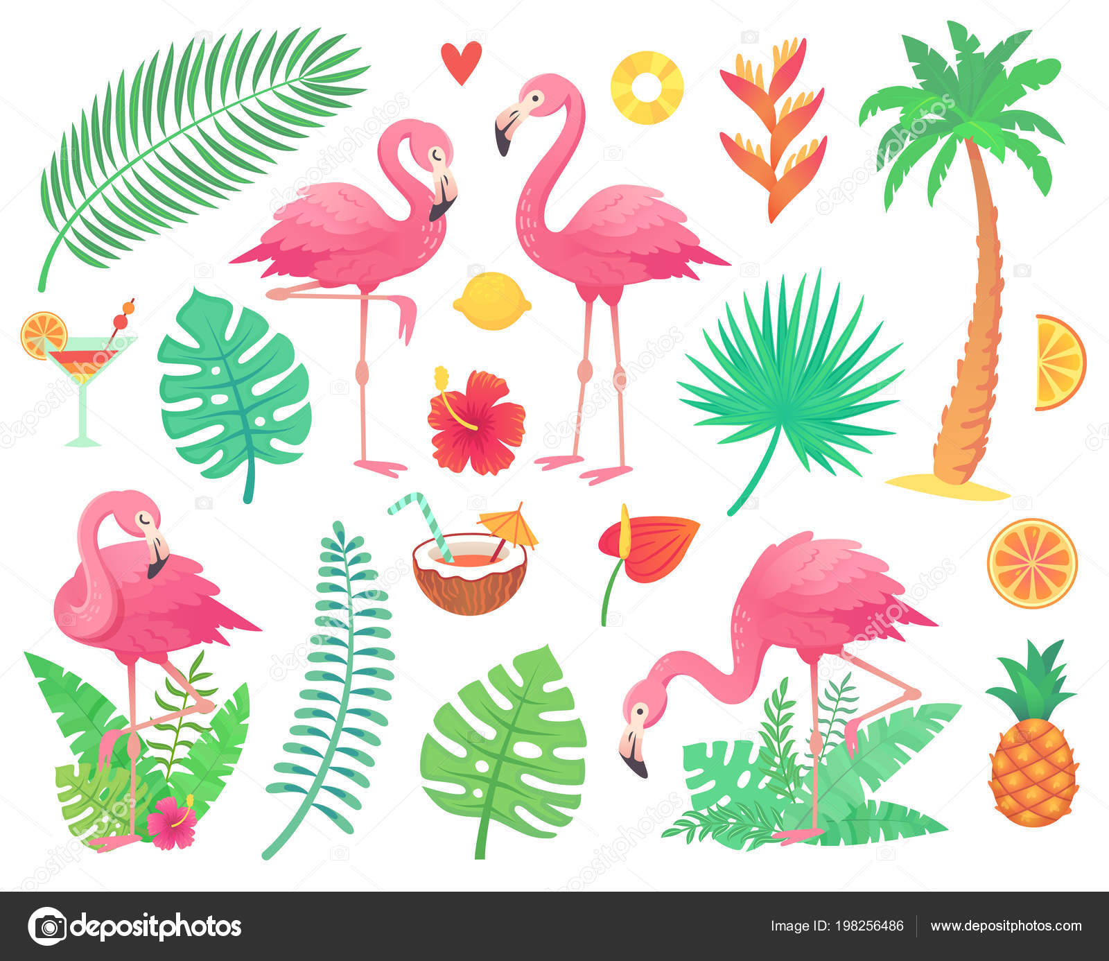 Ervaren persoon voor eeuwig Intens Roze flamingo en tropische planten. Beach palm, Afrikaanse plant blaadjes,  bloem van het regenwoud, tropische palmen blad en roze flamingo's vector  set vectorafbeelding door © tartila.stock.gmail.com ⬇ Vectorstock #198256486