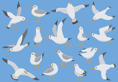 Atlantik beyaz seabird gökyüzüne uçar. İskele, Sahil Martı. Deniz kuşları, martı karikatür vektör çizim