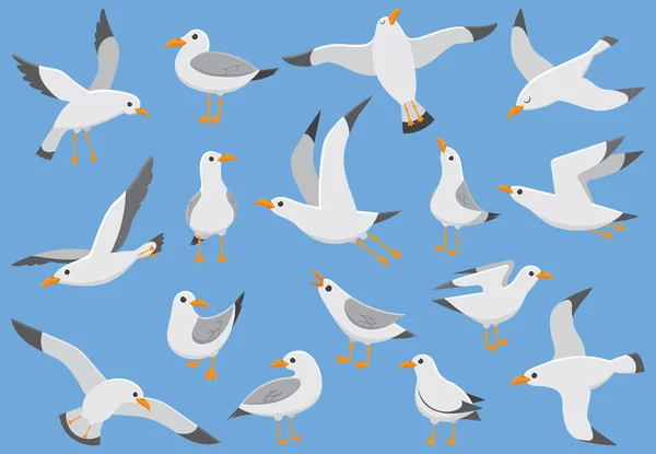 Atlantic white seabird fly at sky. Beach seagull at quay. Sea birds, gull cartoon vector illustration — Stock Vector