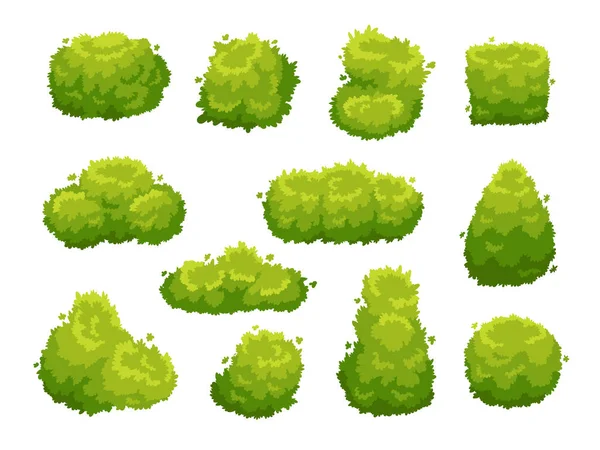 Zahradní bush. Křoví zelené vegetaci. Kreslený keře zdobí krajinu vektorové Set — Stockový vektor