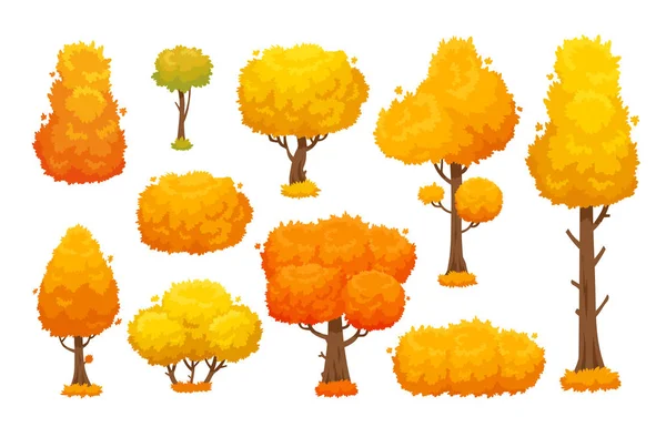 Coloridos árboles otoñales. Árbol de otoño amarillo de dibujos animados y arbusto de jardín otoñal para el paisaje conjunto de vectores de fondo — Archivo Imágenes Vectoriales
