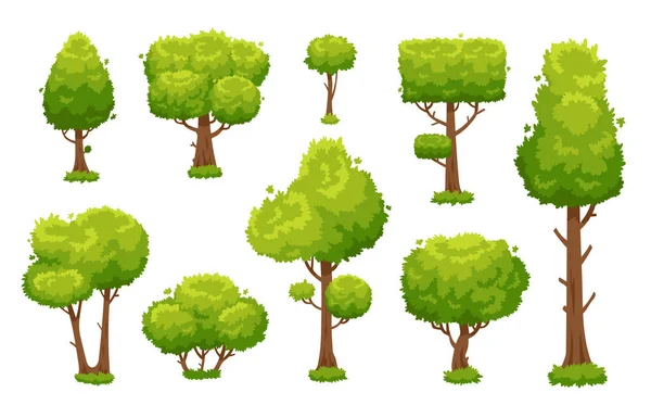 Arbre vert dessin animé. Forêt environnementale ou arbres de parc isolés pour l'illustration vectorielle de fond — Image vectorielle