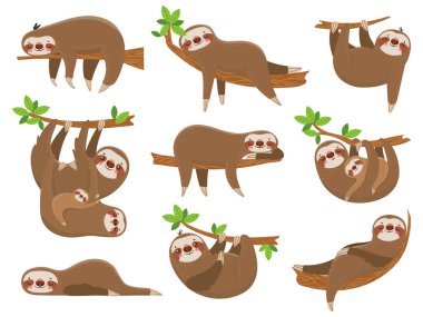 Cartoon sloths family. Adorable sloth animal at jungle rainforest. Funny animals on tropical forest trees vector set clipart