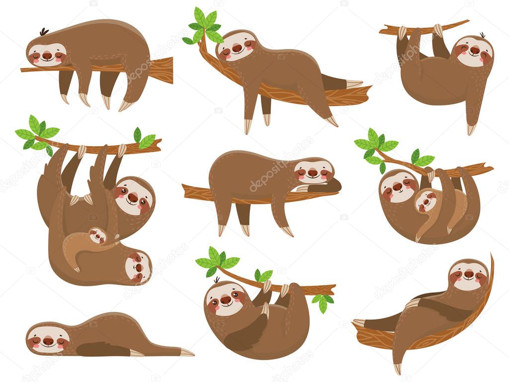 Cartoon sloths family. Adorable sloth animal at jungle rainforest. Funny animals on tropical forest trees vector set