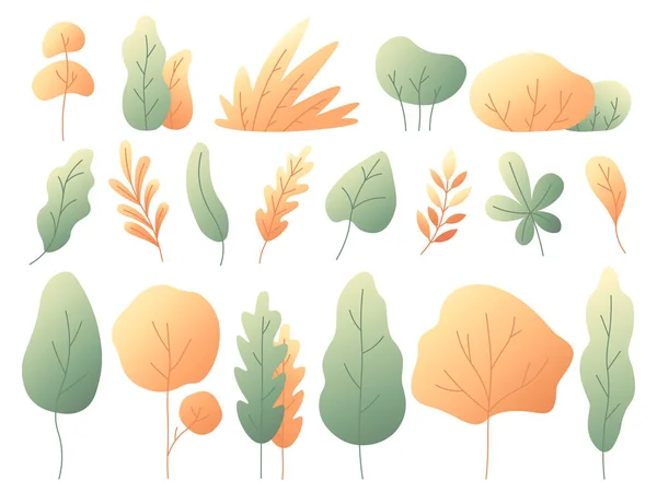 Folhas de outono coloridas simples. Árvores e arbustos outonais. Conjunto de vetor plano de folha amarela minimalista —  Vetores de Stock