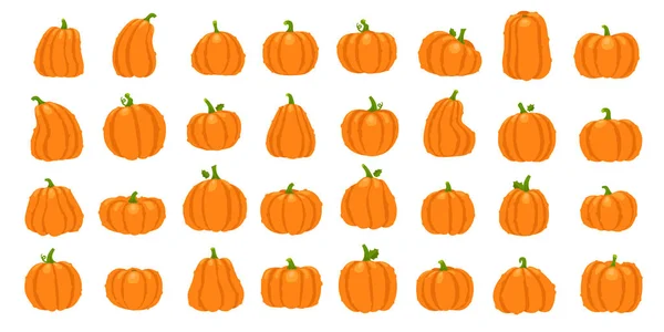 Мультяшная оранжевая тыква. Хэллоуин октябрь праздник декоративные тыквы. Желтая горбуша, здоровый кабачок. — стоковый вектор