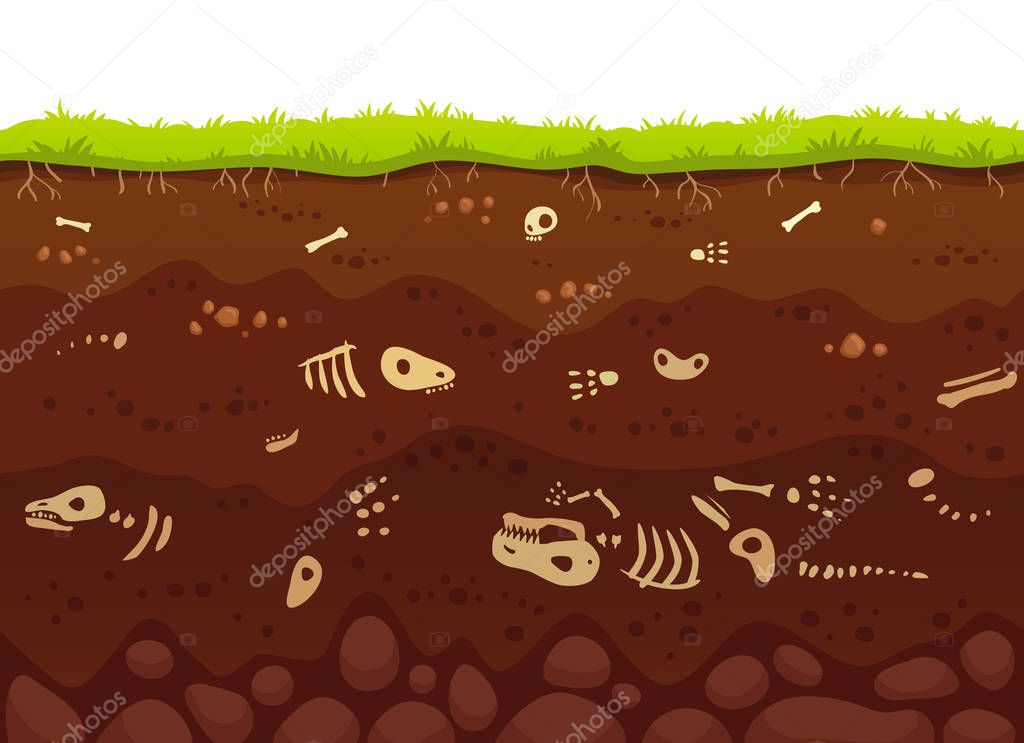 Archeology bones in soil layers. Buried fossil animals, dinosaur skeleton bone in dirt and underground clay layer vector illustration