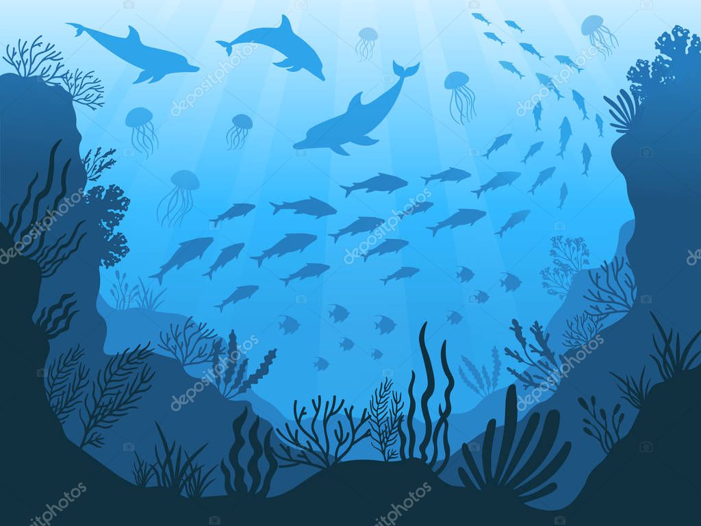 Animali Oceano