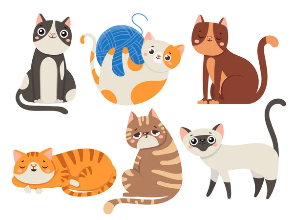 Aranyos macskák. Bolyhos macska, cica karakter vagy háziasított állatok elkülönített vektoros illusztráció gyűjtemény — Stock Vector