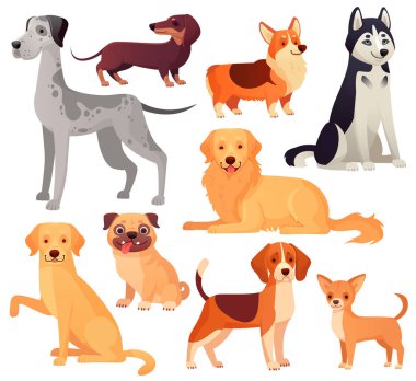Köpekler Evcil hayvan karakter. Labrador köpek, golden retriever ve dış yapraklar. İzole karikatür vektör çizim seti
