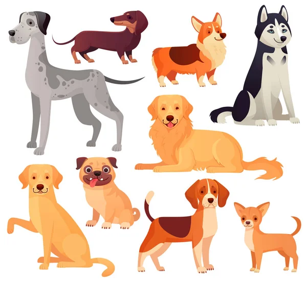 Dogs pets character. Labrador dog, golden retriever and husky. Cartoon vector isolated illustration set — Stock Vector