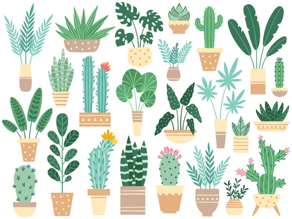 Plantas de casa em vasos. Natureza plantas de sala, decoração vaso planta de sala e planta de flor plantio em vaso vector ilustração isolada — Vetor de Stock