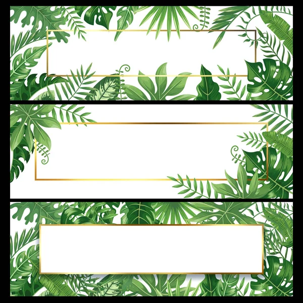 Bandeiras de folhas tropicais. Bandeira de folha de palma exótica, palmeiras de coco naturais ramificações e plantas da selva conjunto de design de fundo vetorial — Vetor de Stock