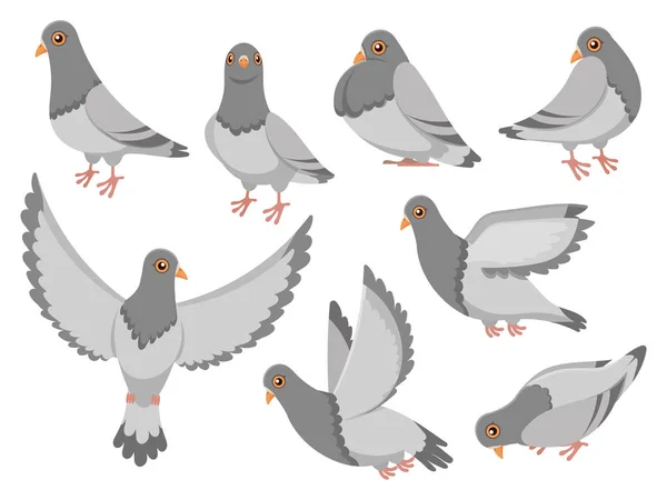 Cartoon pigeon. City dove bird, flying pigeons and town birds doves isolated vector illustration set