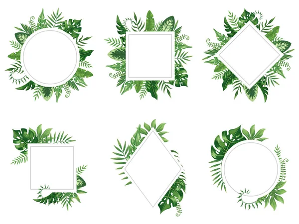 Marco de hoja exótica. Tarjeta de hojas de primavera, marcos de árboles tropicales y vintage selva floral frontera aislado vector conjunto — Vector de stock