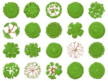 Top view tree. Planting green trees, park map vegetation and tropical forest maps viewing from above vector illustration set clipart