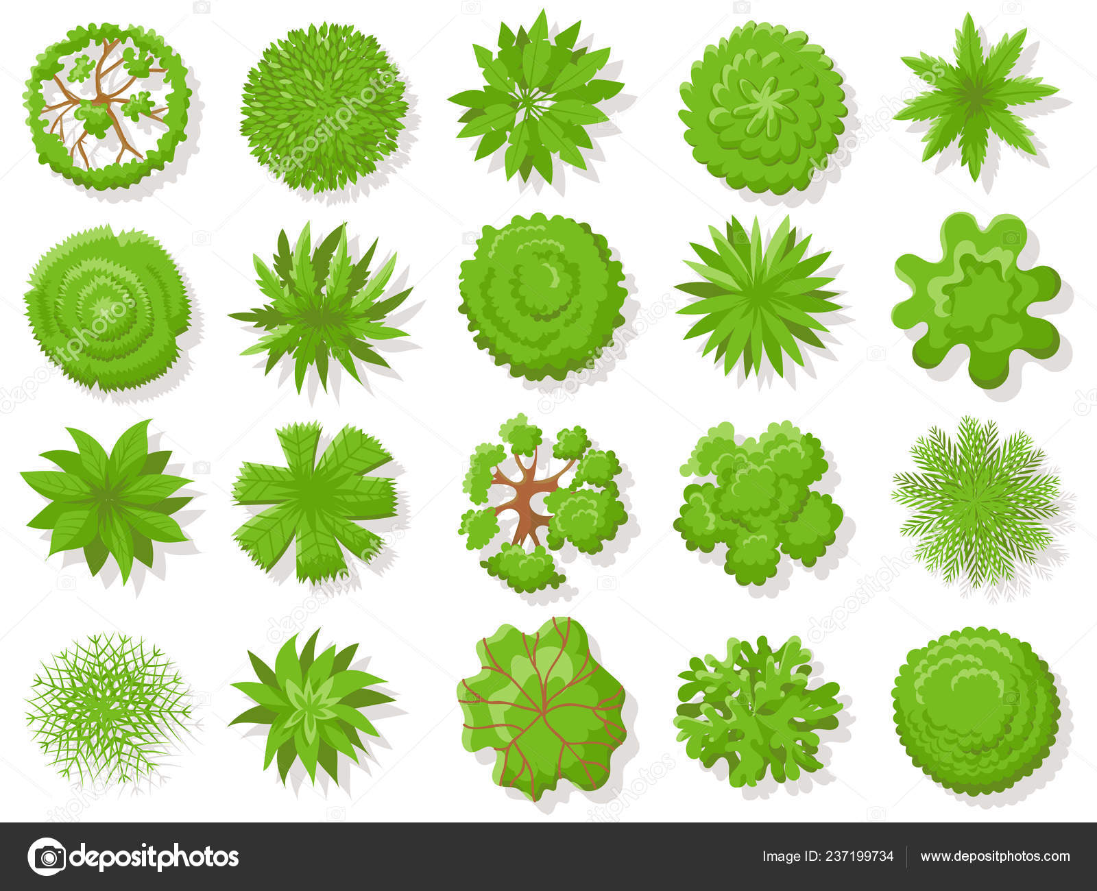 Top view plants. Tropical trees, green plant tree from above for aerial