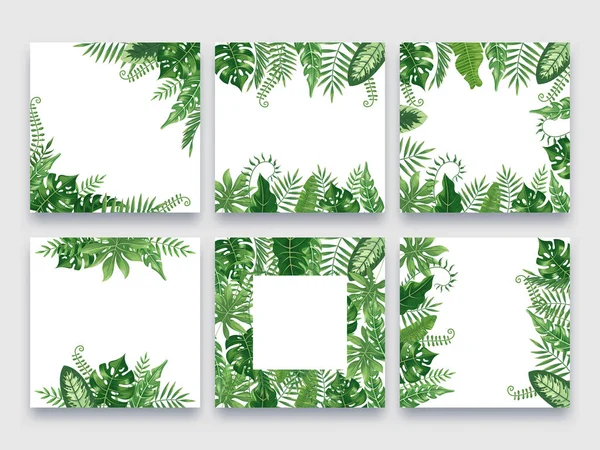 Рамка экзотических листьев. Тропическая граница листьев, природа летние рамки и роскошные пальмовые листья границы векторный дизайн фона — стоковый вектор