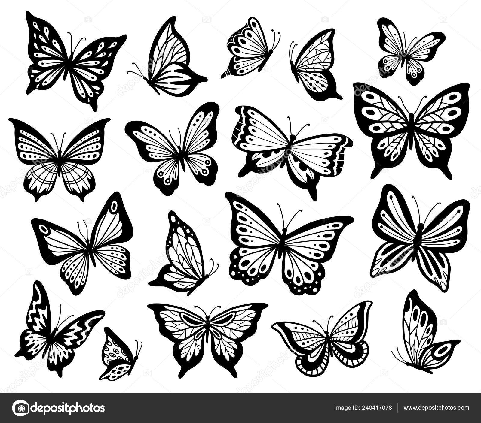 Тату (татуировка) Бабочка: значение и эскизы женские и мужские