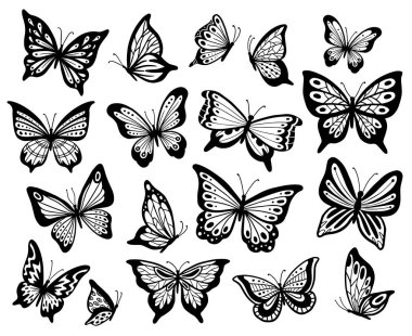 Drawing butterflies. Stencil butterfly, moth wings and flying insects isolated vector illustration set clipart