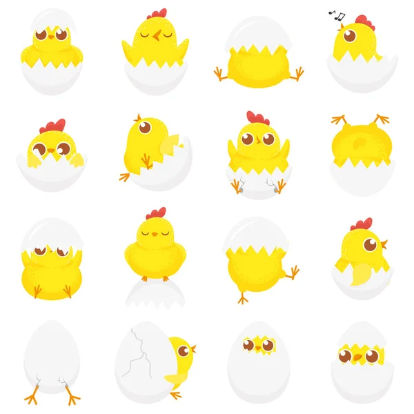 Cute chicken in egg. Easter baby chick, newborn chickens in eggshell and farm kids chicks isolated cartoon vector illustration set — Stock Vector