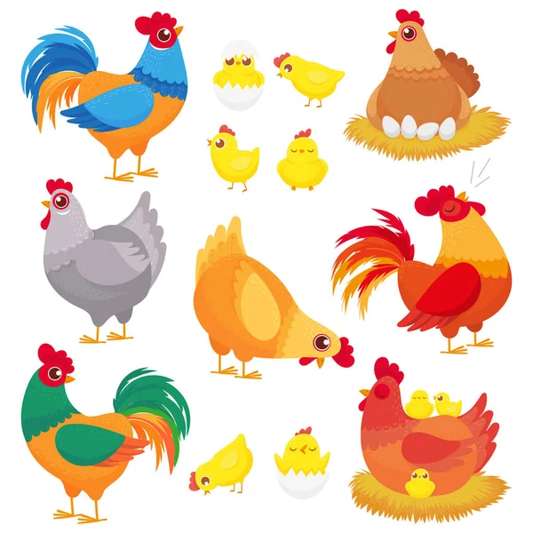 Schattig binnenlandse kip. Boerderij kip, pluimvee haan en kippen met kuiken fokken. Kippen cartoon vector set — Stockvector