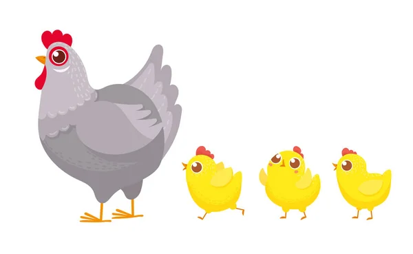 Chicks following chicken. Spring easter chickens, hatched chick and hen family cartoon vector illustration — Stock Vector