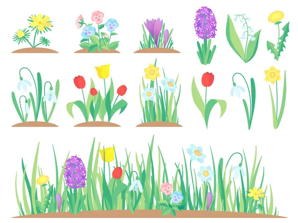 春の花。庭のチューリップの花や初期の花植物やチューリップ植える園芸分離ベクトルを設定 — ストックベクタ