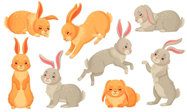 Мультяшный кролик. Кролики домашние животные, пасхальные кролики и плюшевый маленький весенний кролик животное изолированные векторные иллюстрации набор — стоковый вектор