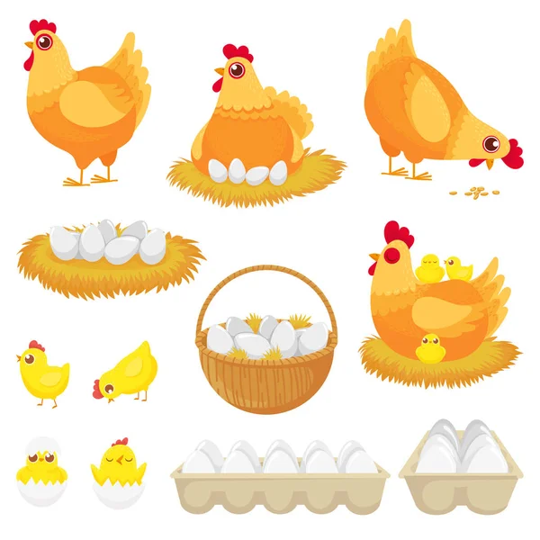 Huevos de pollo. Huevo de granja de gallinas, nido y bandeja de huevos de gallinas juego de ilustración vector de dibujos animados — Archivo Imágenes Vectoriales