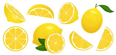 Limon dilimleri. Taze narenciye, yarım dilimlenmiş limon ve kıyılmış limon izole karikatür vektör çizim set