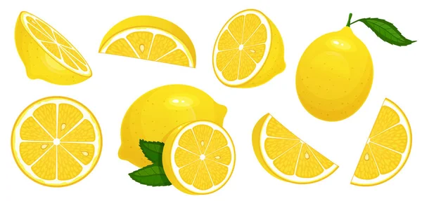 Лимонные ломтики. Свежие цитрусовые, нарезанные лимоны и нарезанные лимонные изолированные карикатурные векторные иллюстрации — стоковый вектор