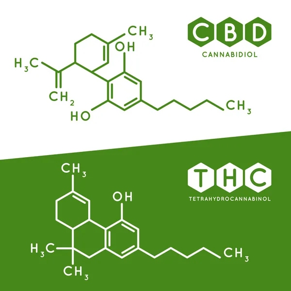 Thc und cbd Formel. Cannabidiol und Tetrahydrocannabinol Molekül Struktur Verbindung. Illustration medizinischer Marihuana-Moleküle — Stockvektor