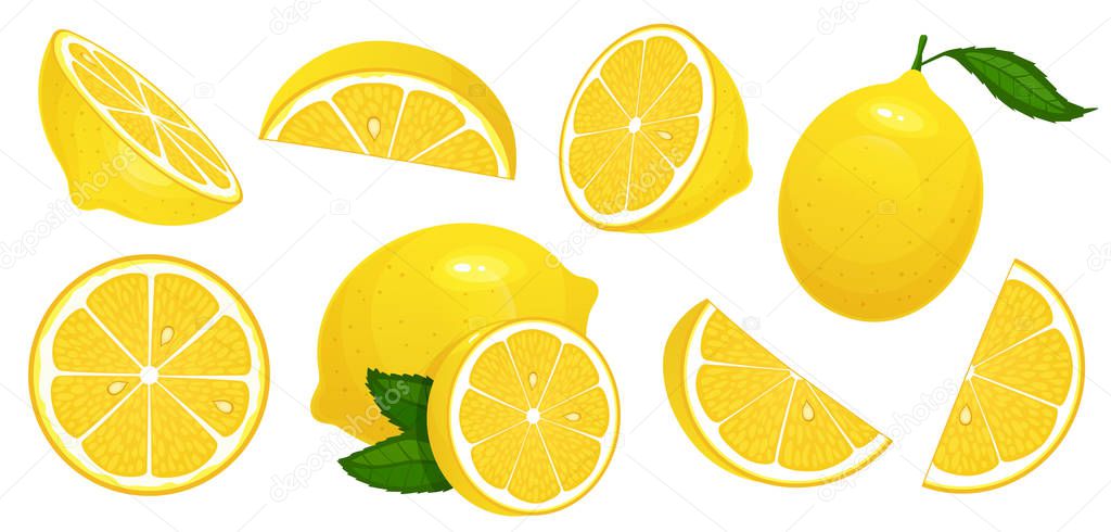 Lemon slices. Fresh citrus, half sliced lemons and chopped lemon. Cut lemons fruit slice and zest for lemonade juice or vitamin c logo. Isolated cartoon vector illustration icons set