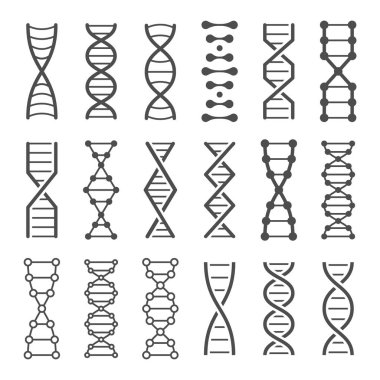 DNA spiral simgesi. İnsan genetiği kodu, genom modeli ve biyo laboratuvar dize spiralleri vektör simgeleri seti