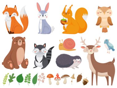 Cute woodland animals. Wild animal, forest flora and fauna elements isolated cartoon vector illustration set