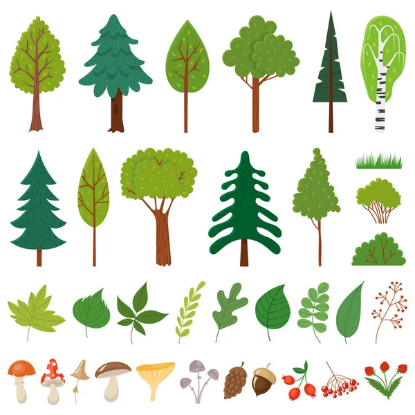Erdei fák. Erdei fa, vadon termő bogyósok növények és gomba. Erdők virágos elemek vektorszett — Stock Vector