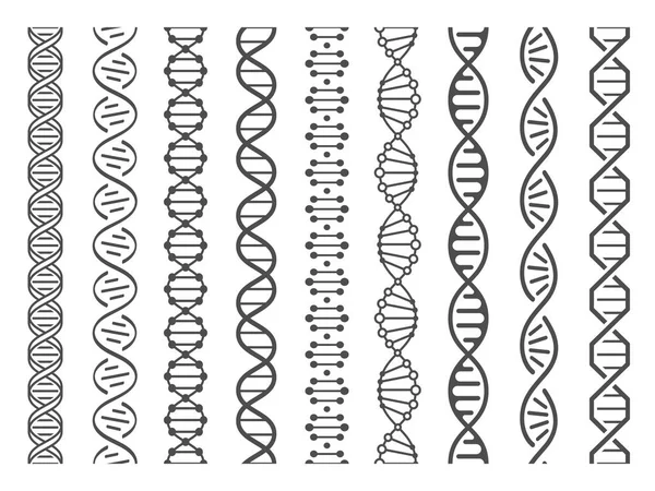 Seamless DNA spiral. Adn helix structure, genomic model and human genetics code pattern vector illustration set — Stock Vector