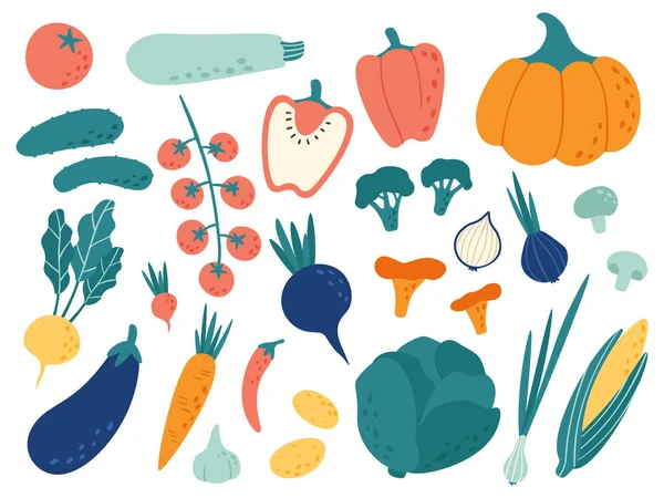 Sayuran buatan tangan. sayur-sayuran corat-coret gizi, organik vegan makanan dan sayur-sayuran vektor gambar ditetapkan - Stok Vektor
