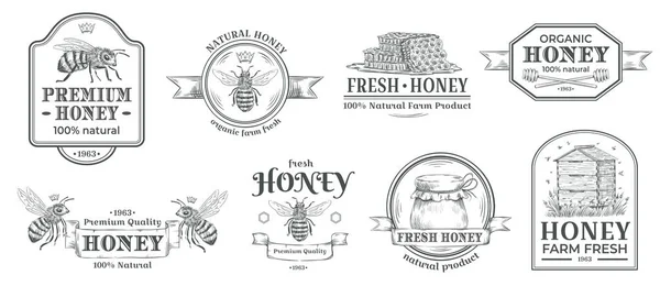 Placa de granja de miel. Logotipo apícola, insignias de abeja retro y conjunto de ilustración de vectores de etiquetas de hidromiel dibujadas a mano vintage — Vector de stock