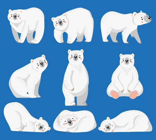 Urso polar dos desenhos animados. Ursos brancos, animais selvagens árticos e ursos de neve ilustração vetorial isolada — Vetor de Stock