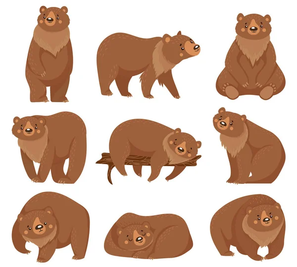 Urso castanho dos desenhos animados. Ursos pardos, animais predadores da floresta selvagem da natureza e urso sentado ilustração vetorial isolado — Vetor de Stock